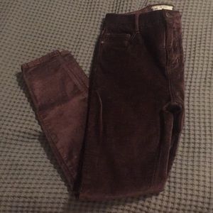 Free people velvety skinny pants
